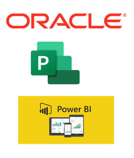 Primavera P6 & MS Project